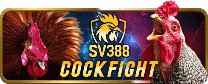 Đá gà onbet3 win